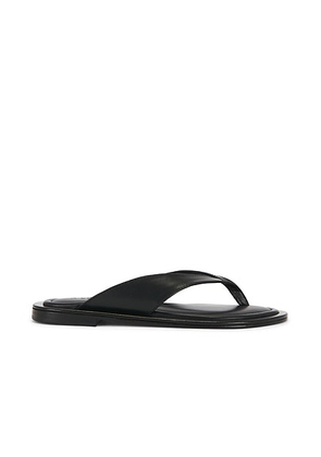 A.EMERY Viola Sandal in Black - Black. Size 35 (also in 36, 37, 38, 39, 40, 41).