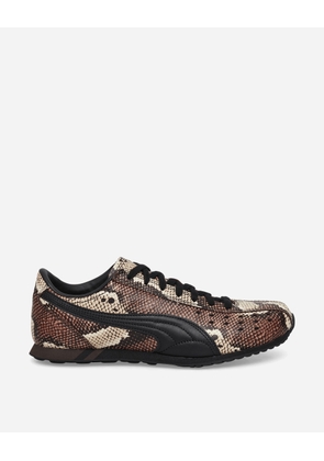 Sprint Snake Sneakers Russet Brown / Black
