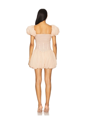 Aniye Records Sally Balloon Dress in Blush. Size S. Also in L.