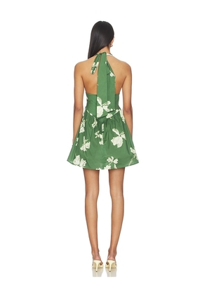 Especia Olinda Short Dress in Green. Size S. Also in L, XL.