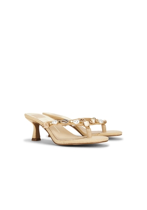 Dolce Vita Daksie Sandal in Neutral. Size 6. Also in 10, 6.5, 7, 7.5, 8, 8.5, 9, 9.5.