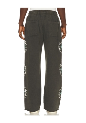 Diet Starts Monday Sol Sweatpant in Black. Size S. Also in M, XL/1X.