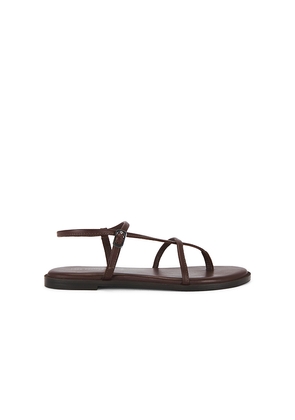 Free People Corsica Strappy Sandal in Brown. Size 6. Also in 6.5, 7, 7.5, 8, 8.5, 9.