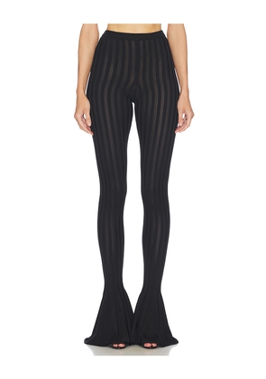 Helsa Kayleigh Flared Pant in Black. Size XS. Also in XXS, S, M, L, XL.