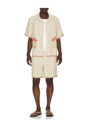 Far Afield House Short in Beige. Size S. Also in M, L, XL/1X.
