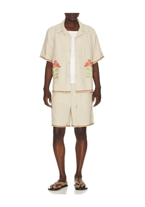 Far Afield Veloso Shirt in Tan. Size S. Also in L, M, XL/1X.