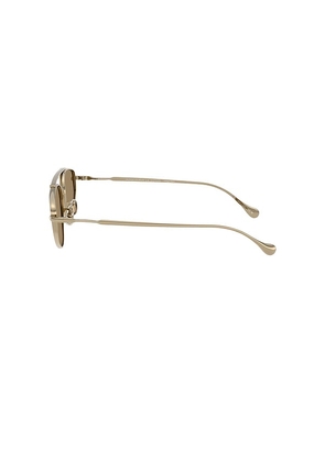 Oliver Peoples Edition 5 Irregular Sunglasses in Brown, Metallic Gold.