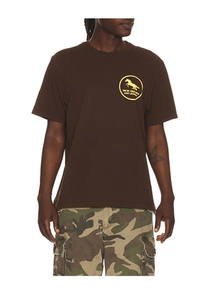 ONE OF THESE DAYS Painted Horse Tshirt in Brown. Size S. Also in M, L, XL/1X, XXL/2X.