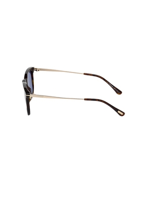 TOM FORD Arnaud Acetate Sunglasses in Brown.