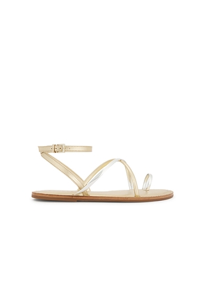 Schutz Valeria Sandal in Metallic Gold. Size 6. Also in 10, 6.5, 7, 7.5, 8, 8.5, 9, 9.5.