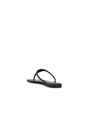 Polo Ralph Lauren Nappa Play Thong Sandals in Black. Size 6. Also in 6.5, 10.