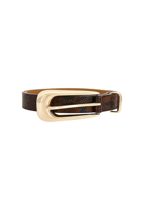 Ettika Brown Snake Signature Buckle Belt in Brown. Size L. Also in S, XS, M.