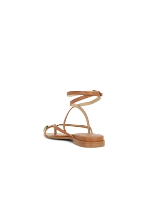 Dolce Vita Tyrice Sandal in Brown. Size 6. Also in 10, 6.5, 7, 7.5, 8, 8.5, 9, 9.5.