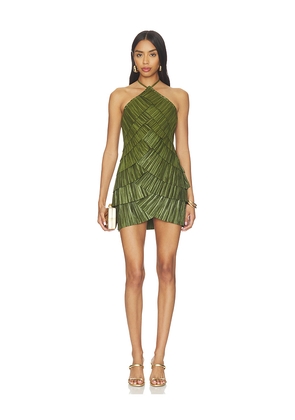 Cult Gaia Varsha Dress in Green. Size 0. Also in 10, 12, 2, 4, 6, 8.