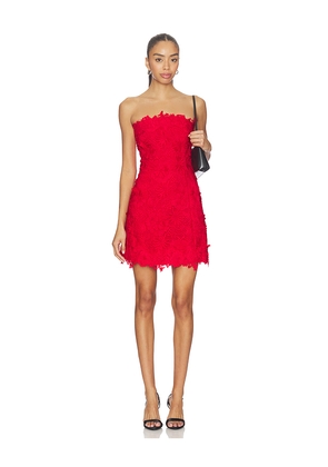 Generation Love Lydia 3d Lace Dress in Red. Size L. Also in M, S, XL, XS.