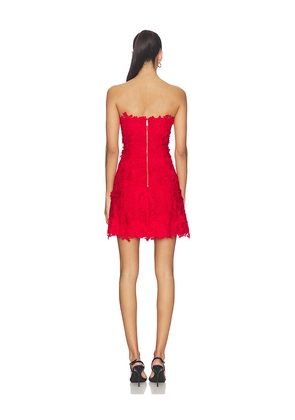 Generation Love Lydia 3d Lace Dress in Red. Size L. Also in XS, S, M.
