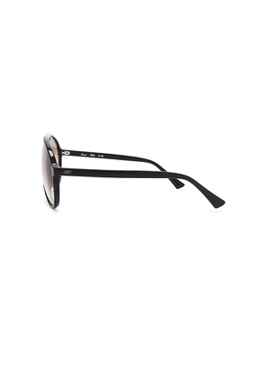 Lexxola Bella Sunglasses in Black.