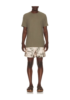OAS Poplan Swim Shorts in Brown. Size L. Also in S, M.