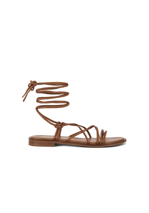 Seychelles Lighthouse Sandal in Brown. Size 10. Also in 11, 6, 6.5, 7, 7.5, 8, 8.5, 9, 9.5.