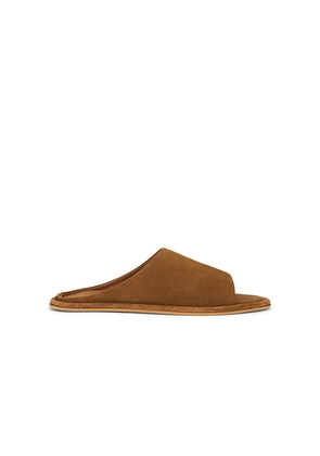 Seychelles It's A Yes Sandal in Brown. Size 10. Also in 6, 6.5, 7, 7.5, 8, 8.5, 9, 9.5.