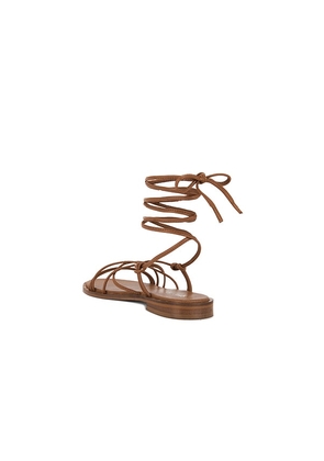 Seychelles Lighthouse Sandal in Brown. Size 10. Also in 6.5, 7, 7.5, 8, 8.5, 9.