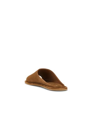 Seychelles It's A Yes Sandal in Brown. Size 10. Also in 6, 6.5, 7, 7.5, 8, 8.5, 9, 9.5.