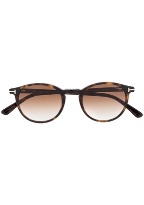 TOM FORD Eyewear Palmer sunglasses - Brown