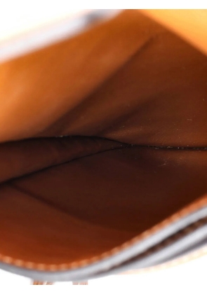 Celine Pre-Owned Phone Crossbody Triomphe Coated Canvas and Leather pouch - Brown