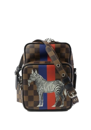 Louis Vuitton Pre-Owned Amazon Chapman Damier shoulder bag - Brown