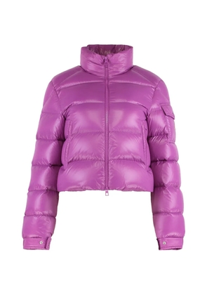 Moncler Petra quilted down jacket - Purple