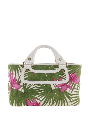 Celine Pre-Owned 20th Century Canvas Botanical Print Boogie handbag - White