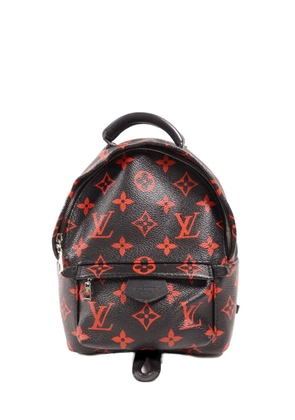 Louis Vuitton Pre-Owned mini Palm Springs backpack - Black