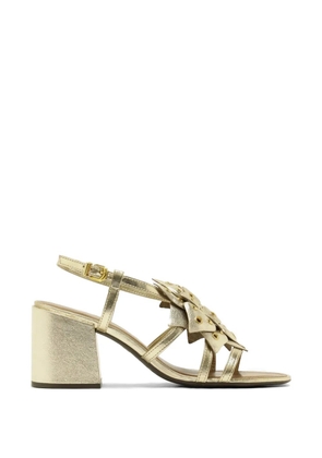 Arezzo floral-appliqué eyelet-embellished sandals - Gold