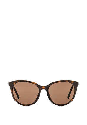 Dolce & Gabbana Eyewear Everyday sunglasses - Brown