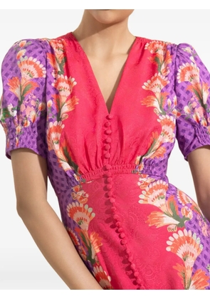 Saloni Lea floral-print maxi dress - Pink
