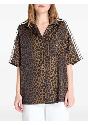 adidas leopard-print shirt - Brown