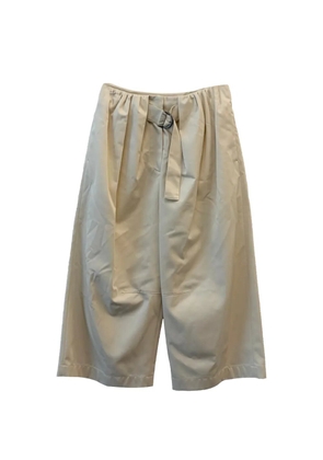 LOEWE belted pleated trousers - Neutrals