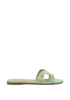 Santoni snakeskin-effect buckle-fastening sandals - Green
