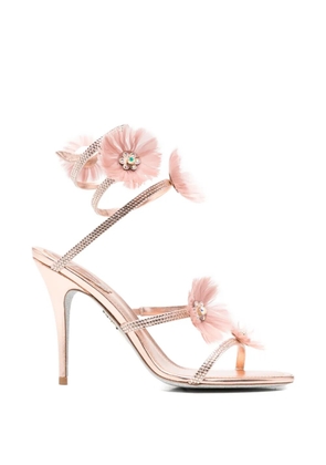 René Caovilla Jolenefloral-embellished sandals - Pink