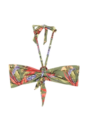 FARM Rio Strelitzia floral-print bikini top - Green