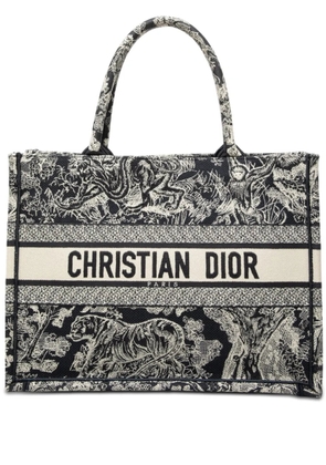 Christian Dior Pre-Owned 2024 Medium Canvas Embroidered Reverse Dioriviera Toile De Jouy Book tote bag - Blue