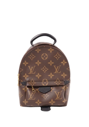 Louis Vuitton Pre-Owned Monogram Palm Springs backpack - Brown