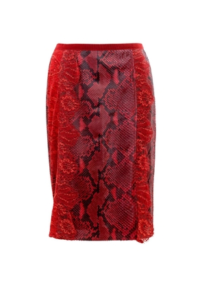 Dolce & Gabbana Pre-Owned python-effect lace-panel skirt - Red