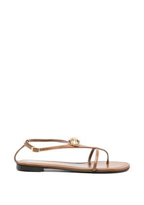 Giuseppe Zanotti T-strap leather flat sandals - Brown