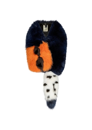 Fendi Pre-Owned multicolour fur scarf - Blue