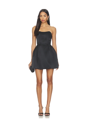 ELLIATT Manon Tulip Mini Dress in Black. Size XS. Also in S, M, L, XL, XXL.