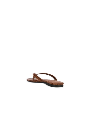 ANINE BING Noelle Thong Sandal in Brown. Size 36. Also in 37.