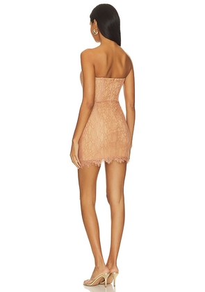 NBD Belladonna Mini Dress in Nude. Size XL. Also in L.