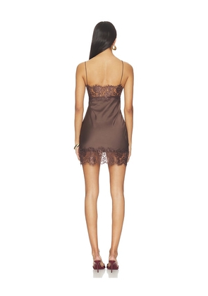 LIONESS Angelic Mini Dress in Brown. Size XXS. Also in M.