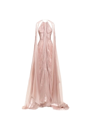 Maria Lucia Hohan Larisa maxi dress - Pink